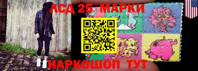 индика Бийск