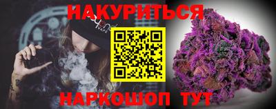индика Бийск