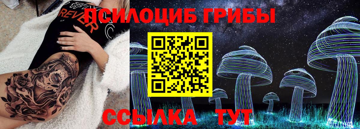 Псилоцибиновые грибы GOLDEN TEACHER Верхняя Салда